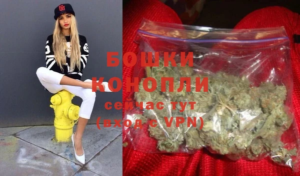 бошки Белокуриха