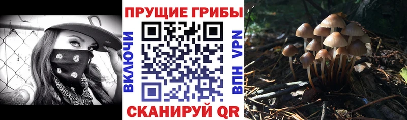 Купить  Артёмовск  Псилоцибиновые грибы прущие грибы 